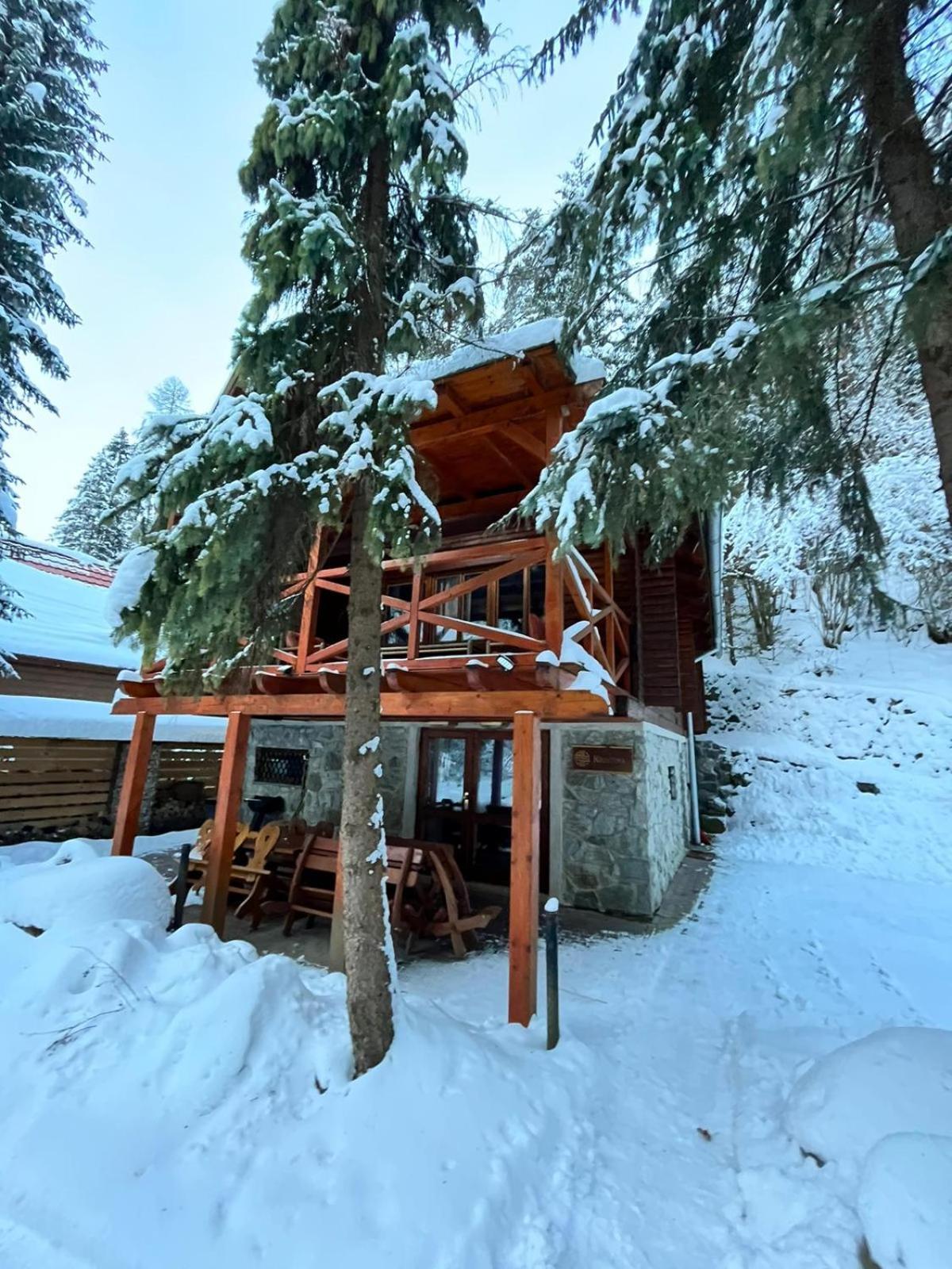 Tatrystay Chalet Kristina デマノブスカ・ドリーナ エクステリア 写真